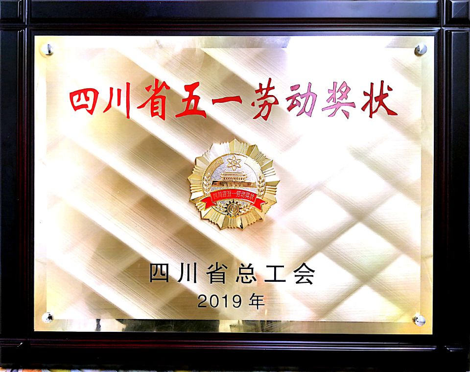 2019年4月四川省总工会授予“五一劳动奖状”